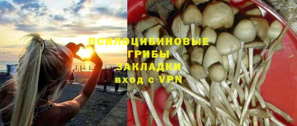 PSILOCYBIN Бородино