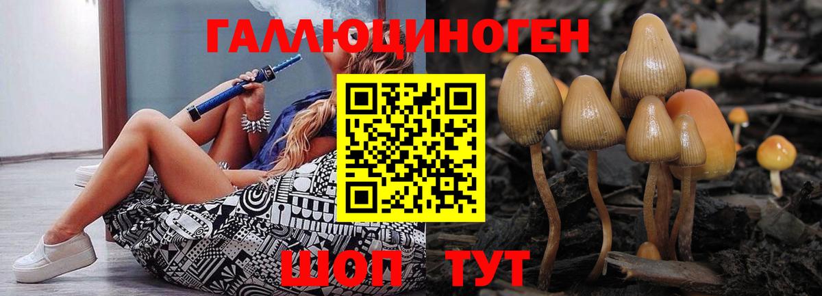Сочи  Псилоцибиновые грибы MAGIC MUSHROOMS  купить наркотики сайты  Вход с VPN 