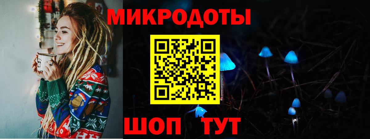 Галлюциногенные грибы Cubensis Сочи